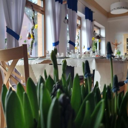 Zakatek Reja Leilighet Kartuzy Eksteriør bilde